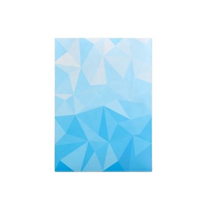 Grafik Baskı Özel Kart Kağıtları 66x91 66x92 Asit Yoksun PVC Koruma